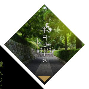 半日コース
